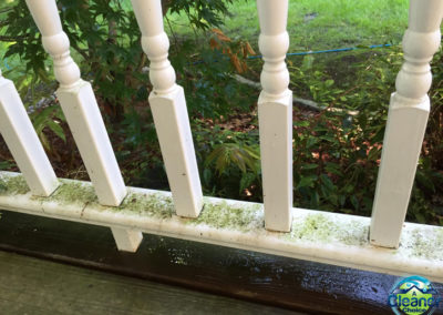 Deck Railing Before Cleaning