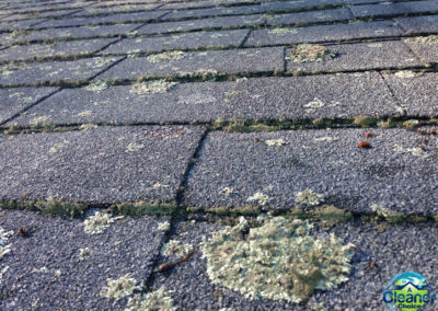 ACleanerChoice.com_RoofCleaning0046